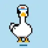 ducky05085 avatar