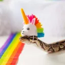 ladymartensss