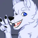 floofer3458 avatar