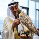 avatar #                        NoMercy