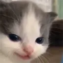 blutomv3