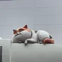 kt_suyyy