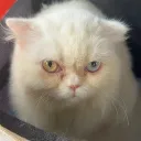 mfmfmfm26_
