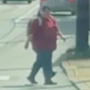 alligatchomp