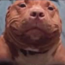 ethan