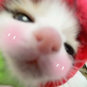 avatar ౨ৎ astrophiile