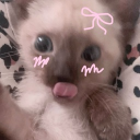 avatar ౨ৎ astrophiile