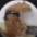 avatar Vali