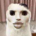 rampaiger