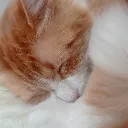 migue4