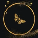 mothdance