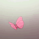 mothdance
