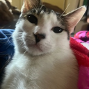 avatar Wu wop 🔥🧹