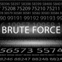 bruteforce7327