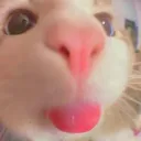 itshnik1