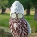 kingdark1ngel