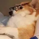 sharpii