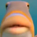 sadam_hyper