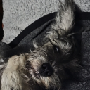 avatar NobodyInParticular