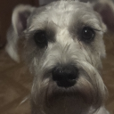 avatar NobodyInParticular