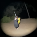 avatar onions