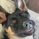 durrloo