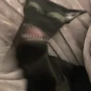llg_q