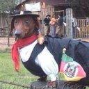 avatar Hidro Natalino. 🎅