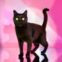 itscoolkat
