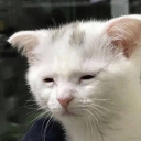 vacationetime894's Avatar