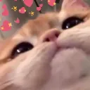 jennywnuo