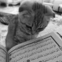 mo7aniso