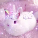 whoslushy