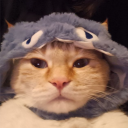 avatar Zeedee