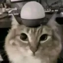 iggyge