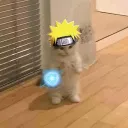 slici