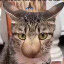 avatar 𝓑𝓪𝓻𝓪 𝓝𝓪̊𝓷𝓽𝓲𝓷𝓰