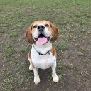 avatar Grzegorz Od Toyoty