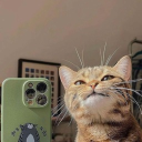 avatar Flavour Flaves