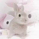 demi.