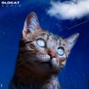 oldcatlady12