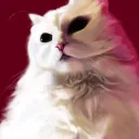 soulofthecat