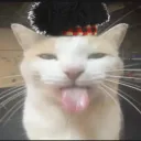 strohgaming