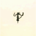 ashada_dsc