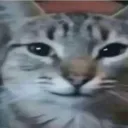 m8a7