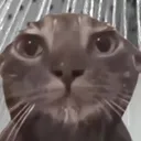unsoudane