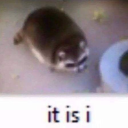 avatar ! ˗ˏˋ𝓐𝔃𝓾𝓻𝓎ˎˊ˗