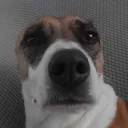 itslaymxd