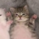 avatar aura is awesome ☆