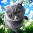 Аватарка BOgdanchik-🎋